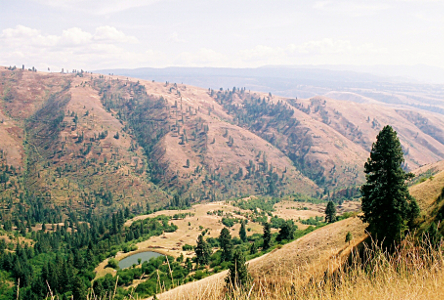 [Looking down a hillside at the vally below and the mountains with big vertical crevices filled with trees on the opposite side. There is a small lake in the valley and scattered trees and wheat-colored grasses.]